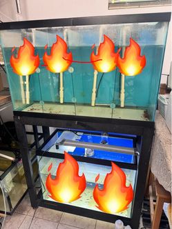 29gal + 20 gal + stand