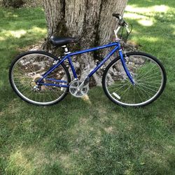 28” Trek Hybrid Bike (brand New Tires)