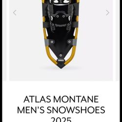 Snow Shoes 