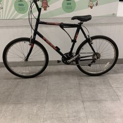 Trek Bike 