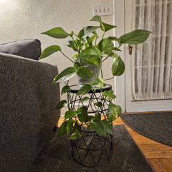 Black Accent Table Or Plant Stand With Mirror Top