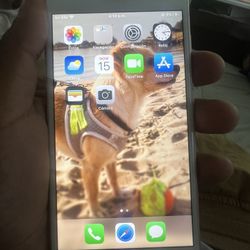iPhone 7 Plus 