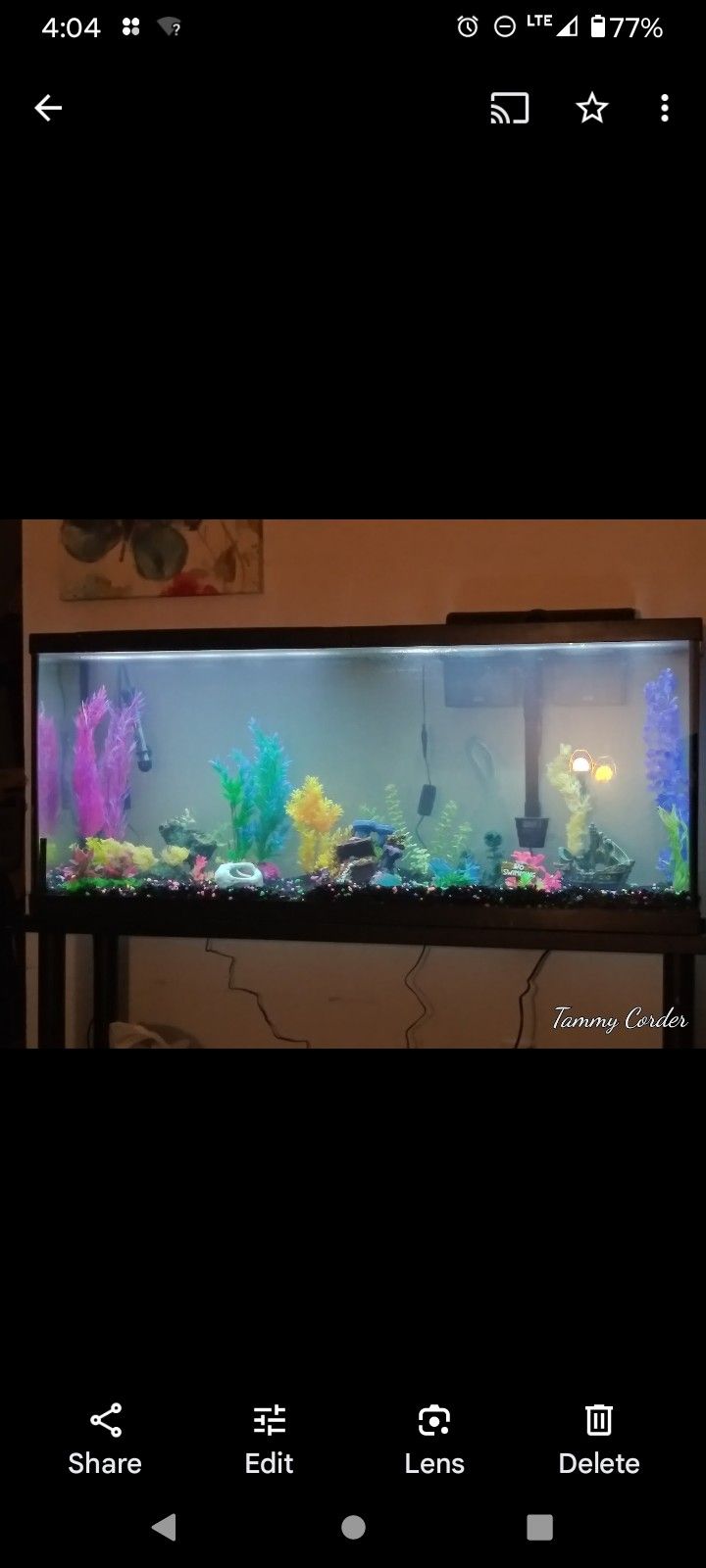 55 Gallon Fish Tank