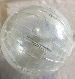 Large hamster ball