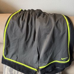 Nike Dri-fit Shorts 
