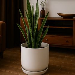 12” White Ceramic Plant Pot with Drainage & Saucer