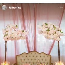 Pink Drapes 