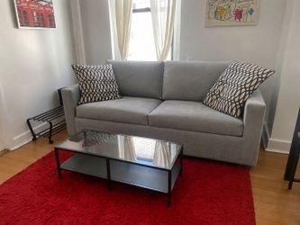 Gray Sofa Bed / Sleeper Sofa