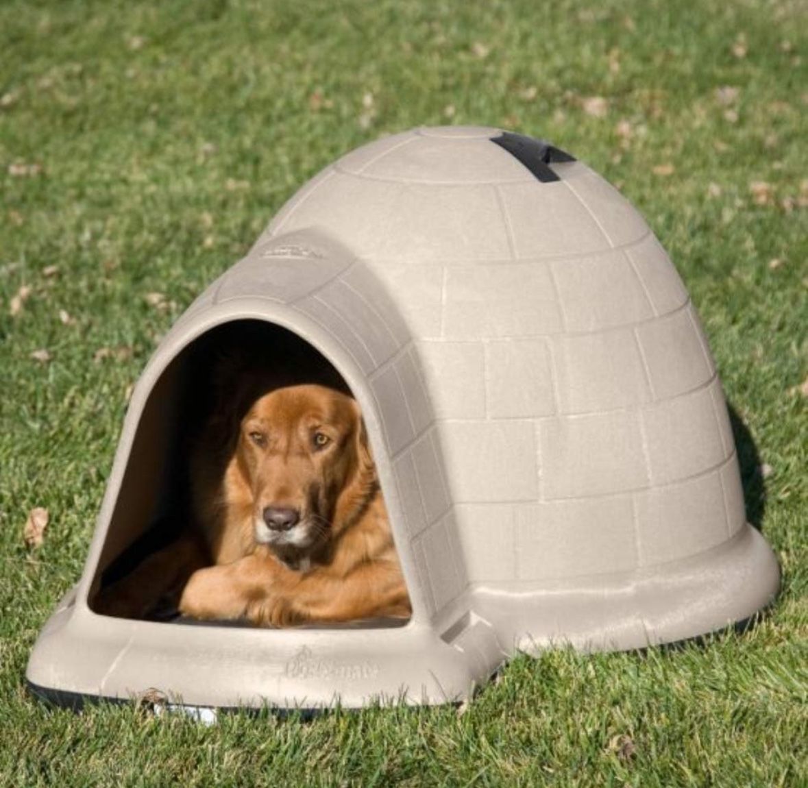 Dog Igloo Dog House + Mat