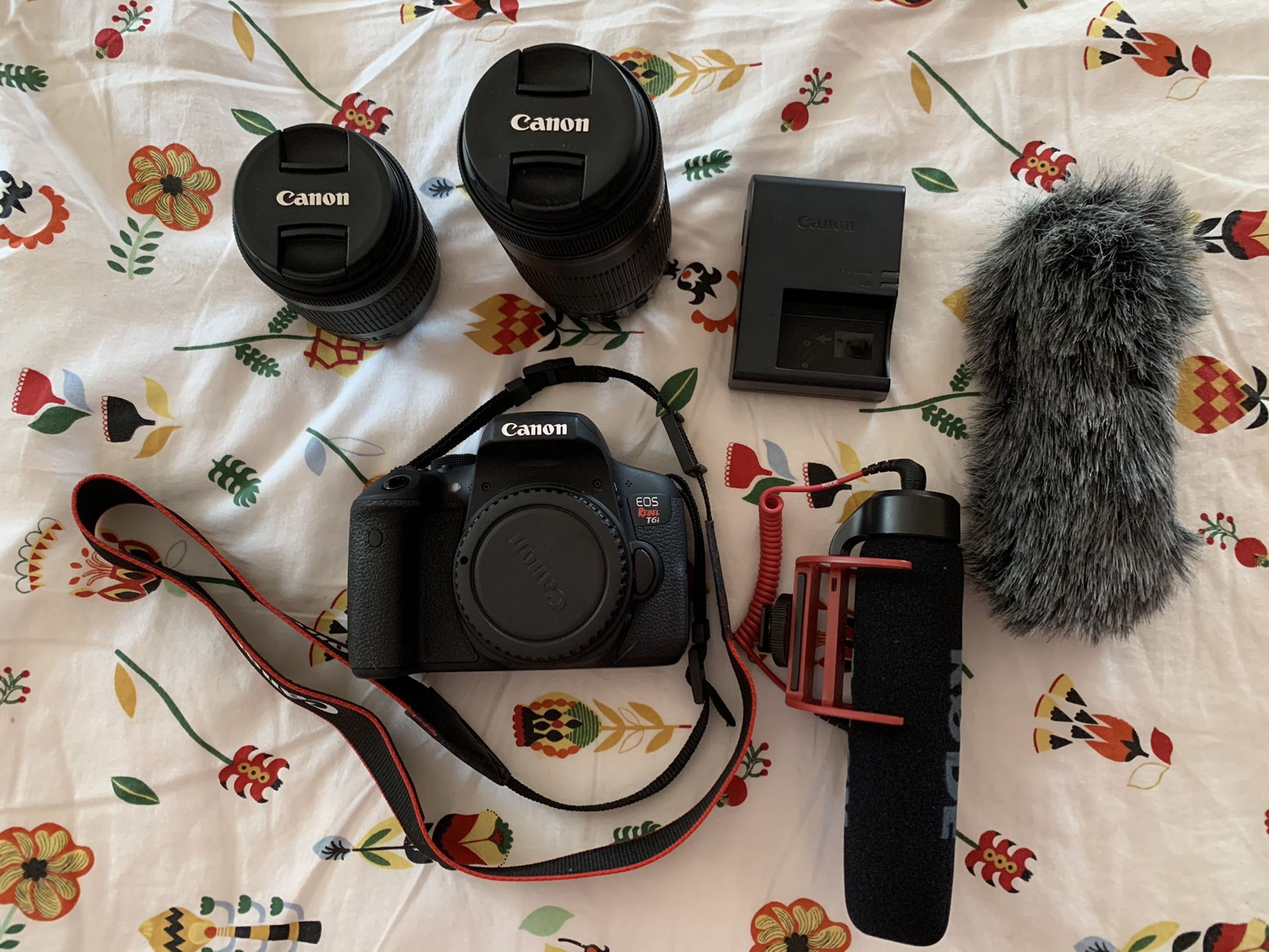 Canon EOS Rebel T6i Camera w/ EF-S 55-250mm and EF-S 18-55mm