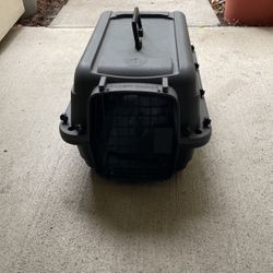 Cat Cage