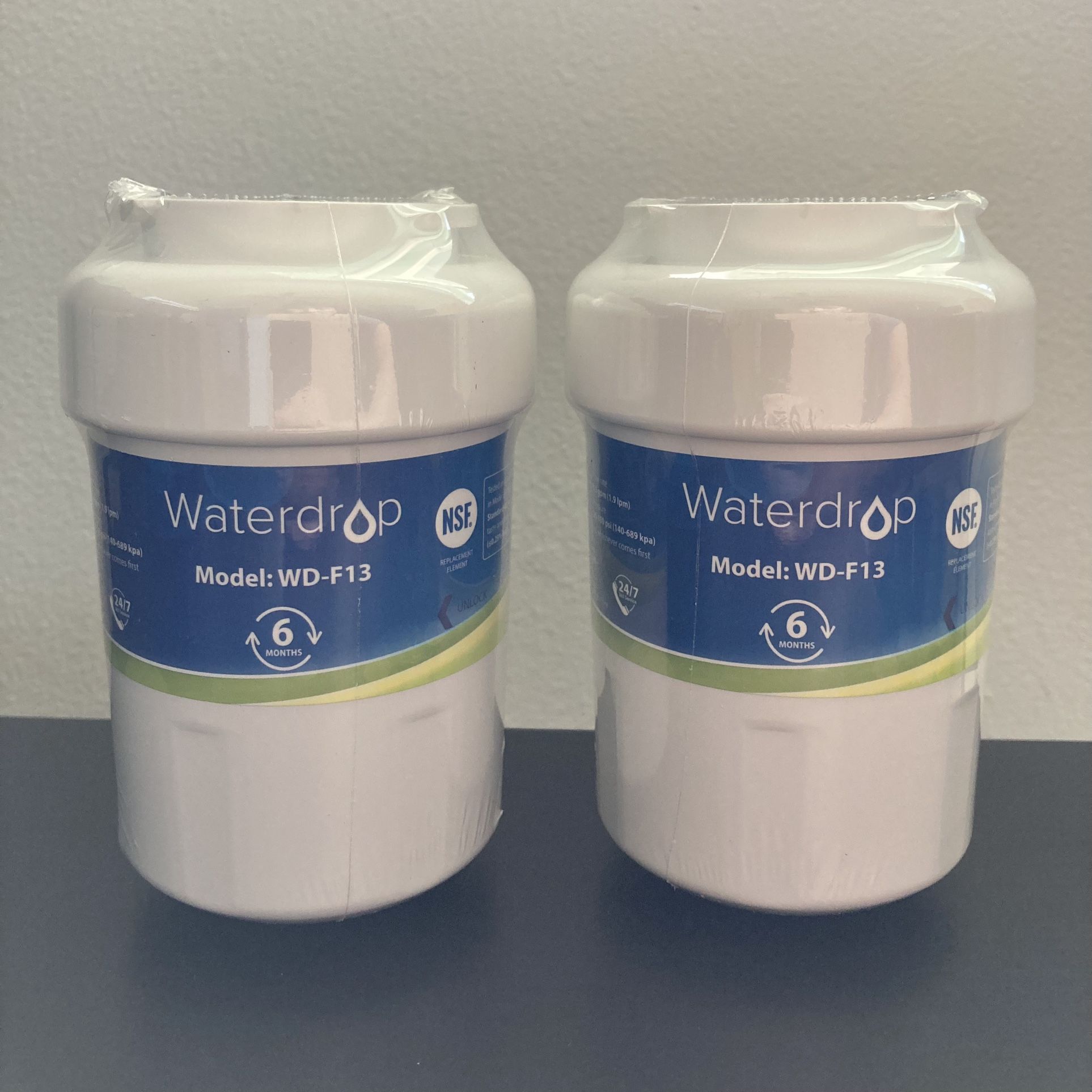 2 Brand New Water Filters for GE Fridge (WD-F13)