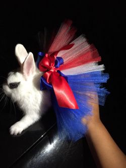 Tutu