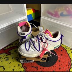 Nike Dunk Off White Lot 15