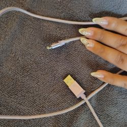6 Ft iPhone Charger