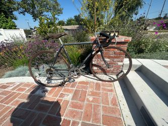 Univega Bicycle
