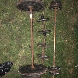 long and short bar with two dumbbells and a bench