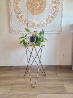 Mid Century Gold Plant Stand
