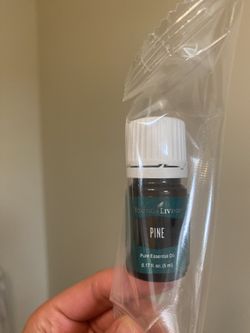Pine Essential Oil - Young Living
