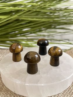 Mini Mushrooms Crystals 