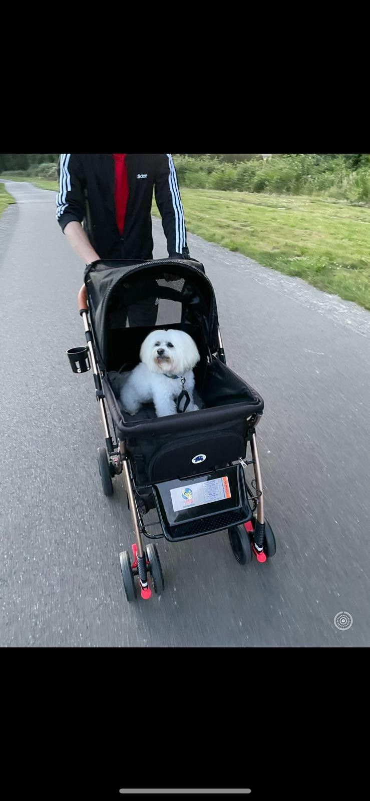 Dog Stroller (Pup Stays), OBO