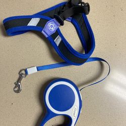 Harness and Leash
