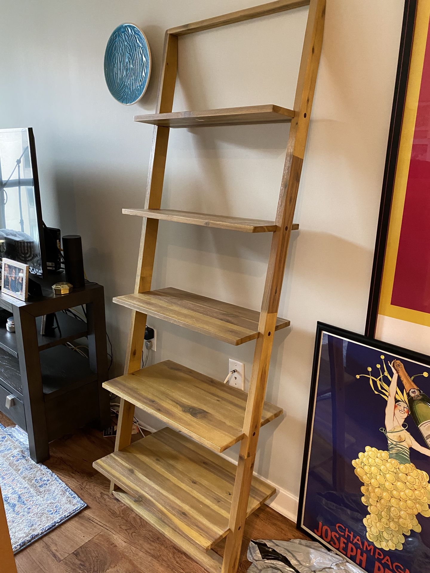 Ladder Bookcase