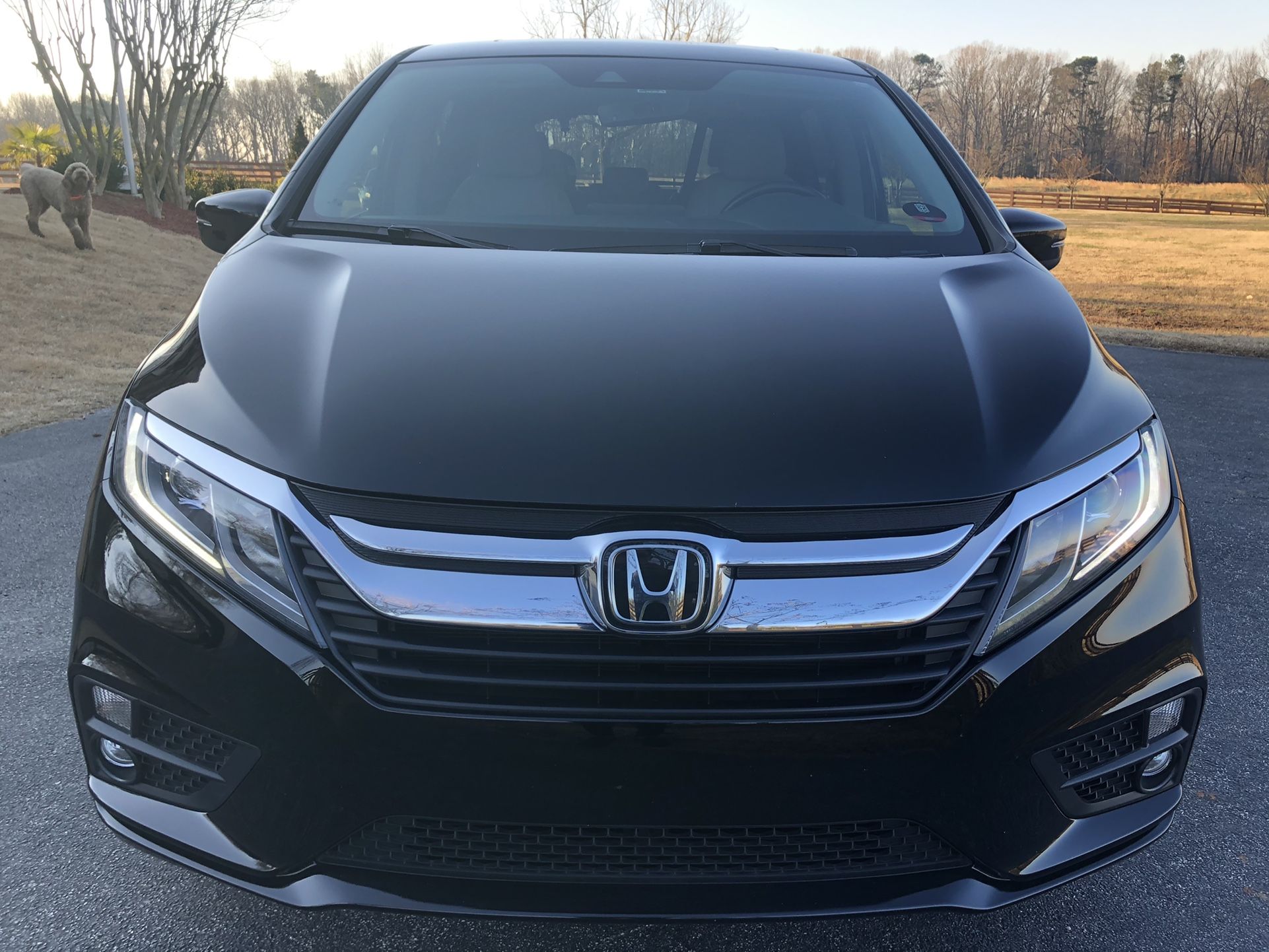 2019 Honda Odyssey