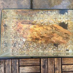 Fish Tank With Small And Big Decorations Rocks 