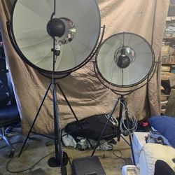 Pallucco Floor Lamp (Large) (Authentic)