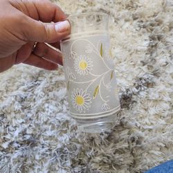 Set of 8 Vintage Eugene Flower Drinking Glasses