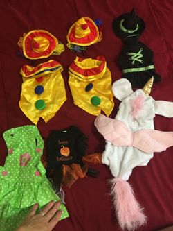Doggies Halloween costumes