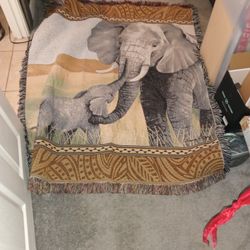 Elephant Afgan