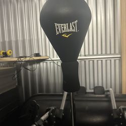 Everlast Punching Bag