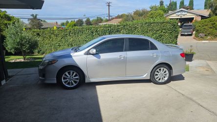 2010 corolla sport