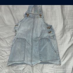 Overall Dress Toddler 2t