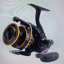 Daiwa BG 2500 Spinning Reel