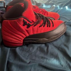 Jordan 12 Reverse Flu Game