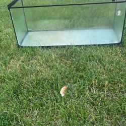 20 Gal Fish Tank With Accessories