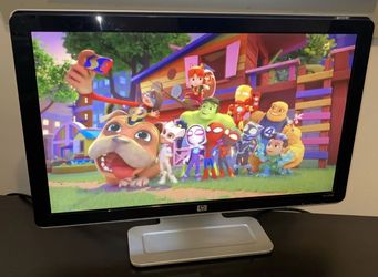 Computer LCD Monitor