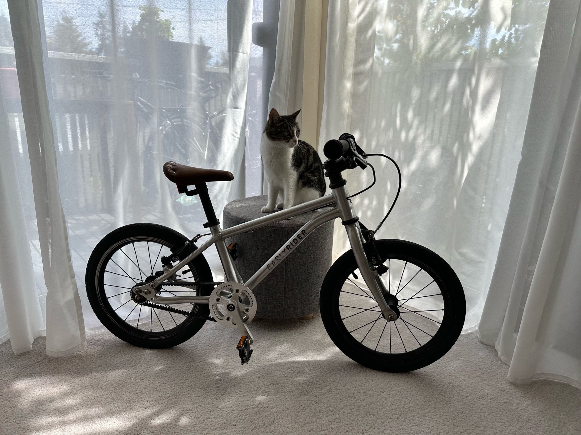 Early Rider Kids Bike