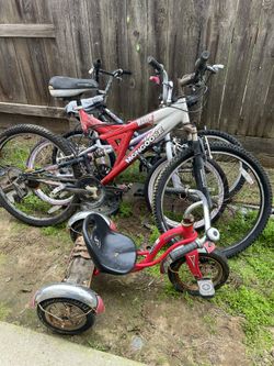 Bicycles And Tricycle