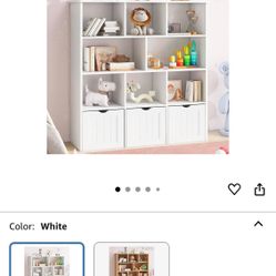 Book Shelve