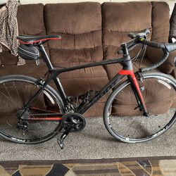 Giant carbon fiber bike