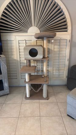 cat tree