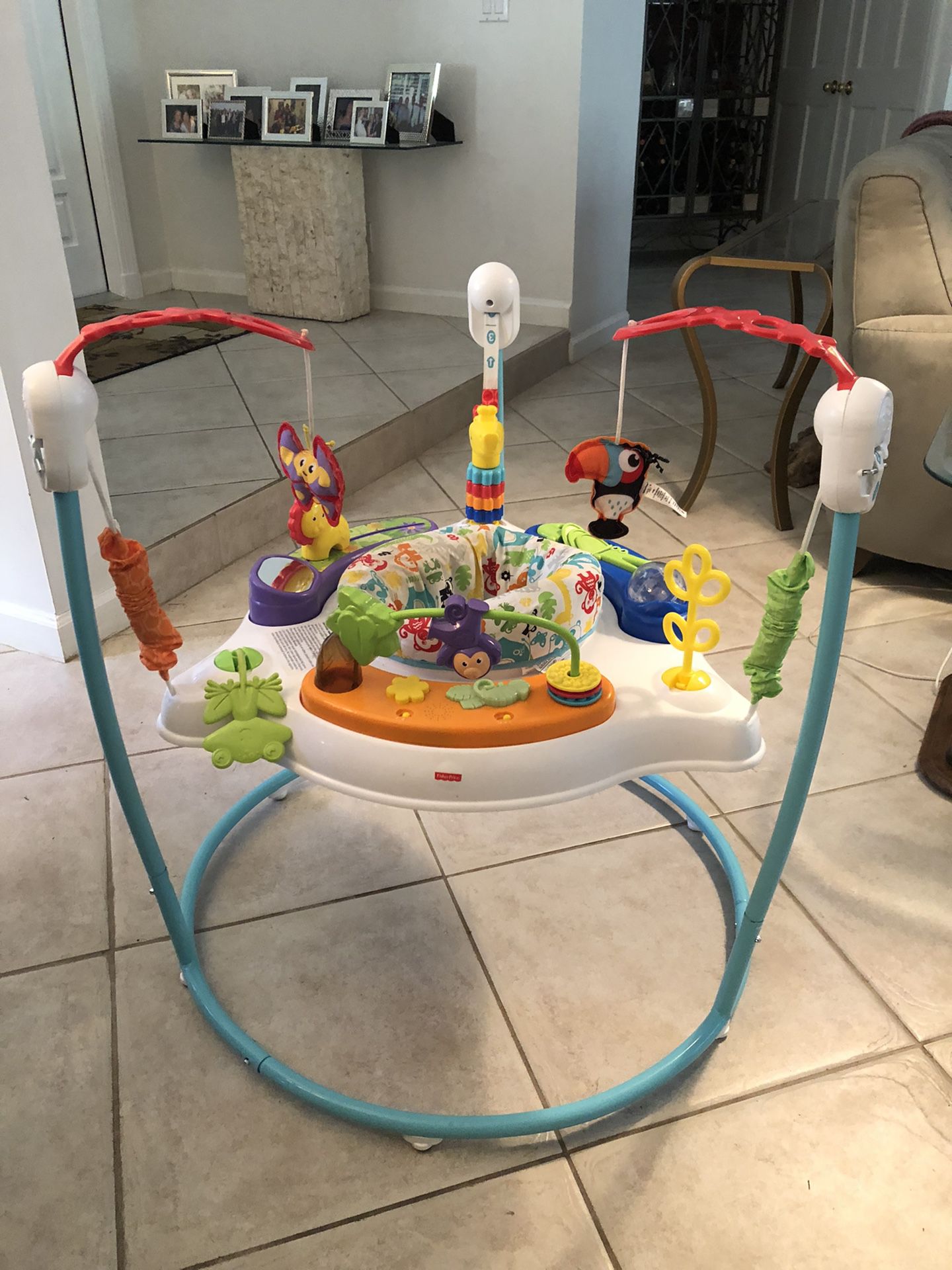 Fisher Price Animal Activity Jumperoo 