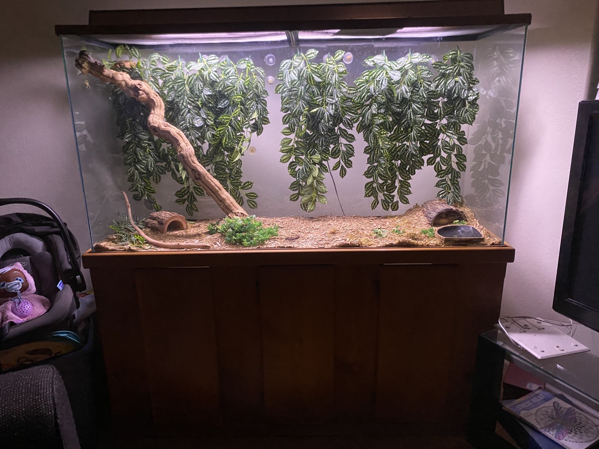 Tank And Stand