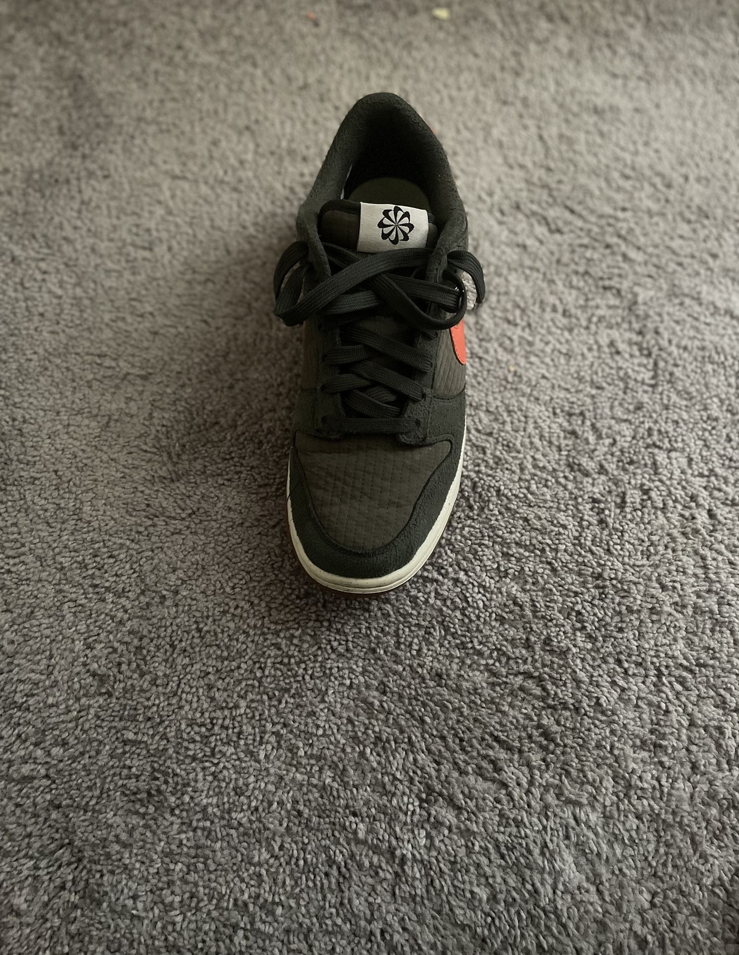 Dunk Low Sequoia ( BEST OFFER!!!)