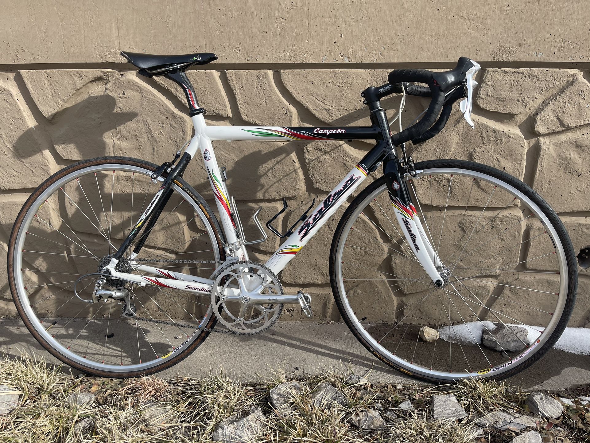 Salsa Campeon Road Bike