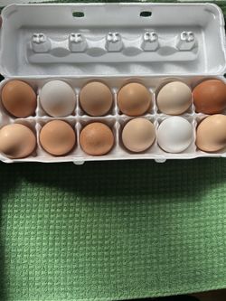 $3 A Dozen Eggs
